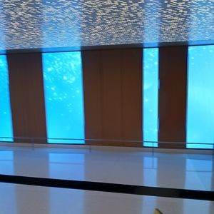 Meet your Posher, Chidera